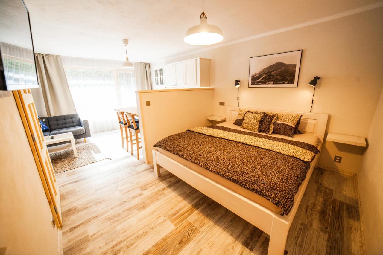 Pension Linda Harrachov Room photo